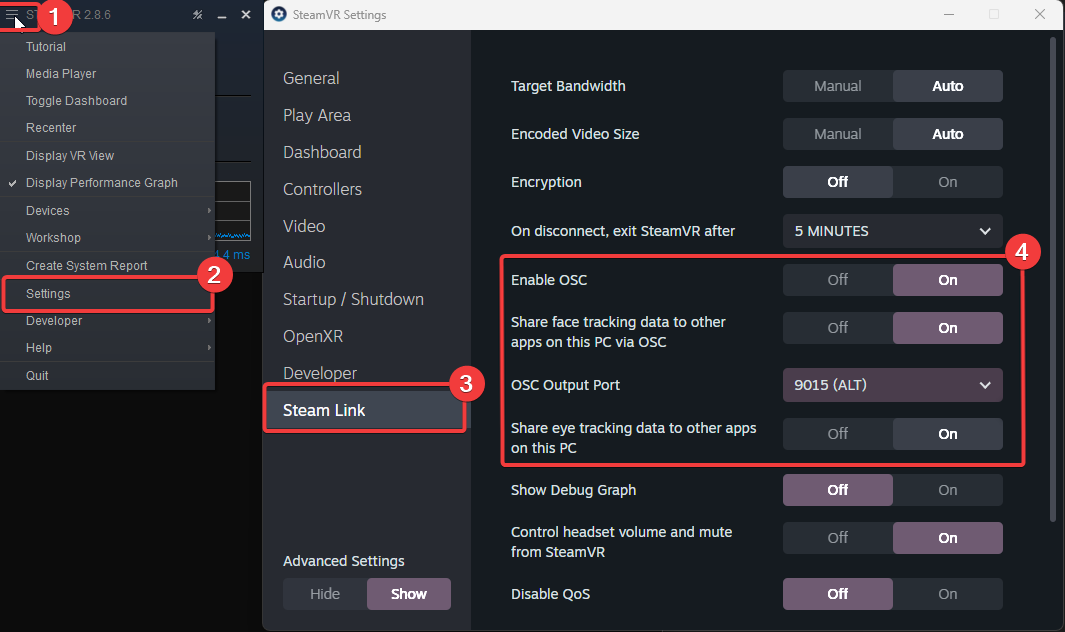 Required SteamLink settings for Face Tracking